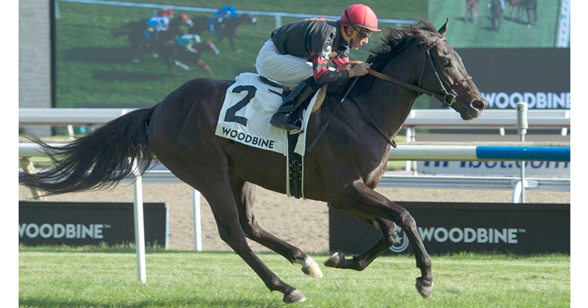 Thumbnail for Canadian Graded Stakes Changes: 4 Races Will Not Be Held in ’21