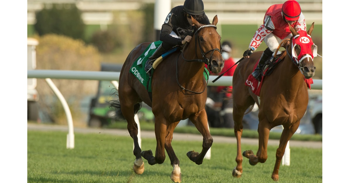 Thumbnail for Queen’s Plate, Woodbine Oaks Hopefuls at Tampa