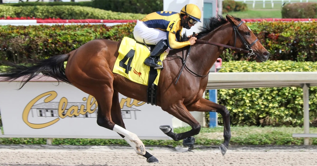 Thumbnail for Canadian Watch: Locals Plentiful in Weekend Stakes Races