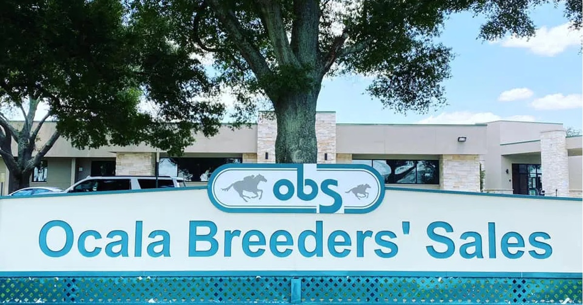 Thumbnail for Ontario-breds in OBS March Two-Year-Old Sale March 16-17