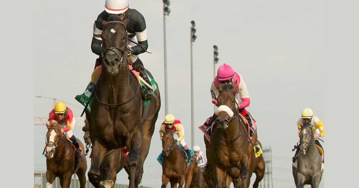 Thumbnail for Woodbine Winter Report for the Week of March 3, 2021