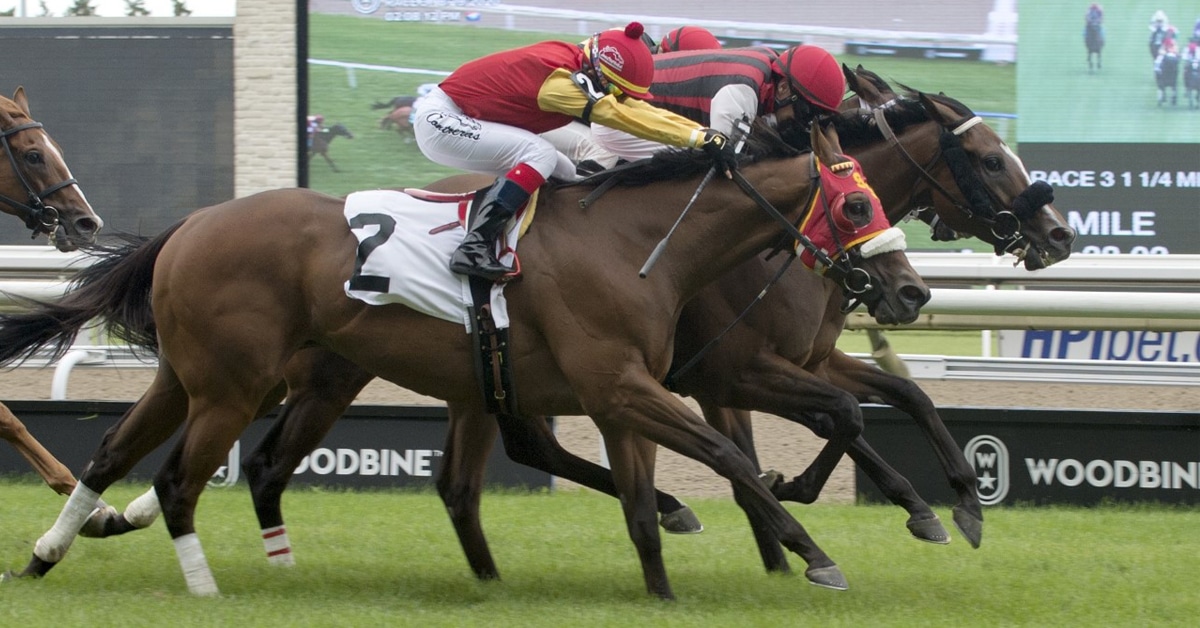 Thumbnail for Woodbine Report for the Week of April 14, 2021
