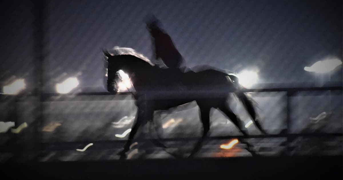 Thumbnail for Ontario Horse Racing Needs To Get Vocal to Survive
