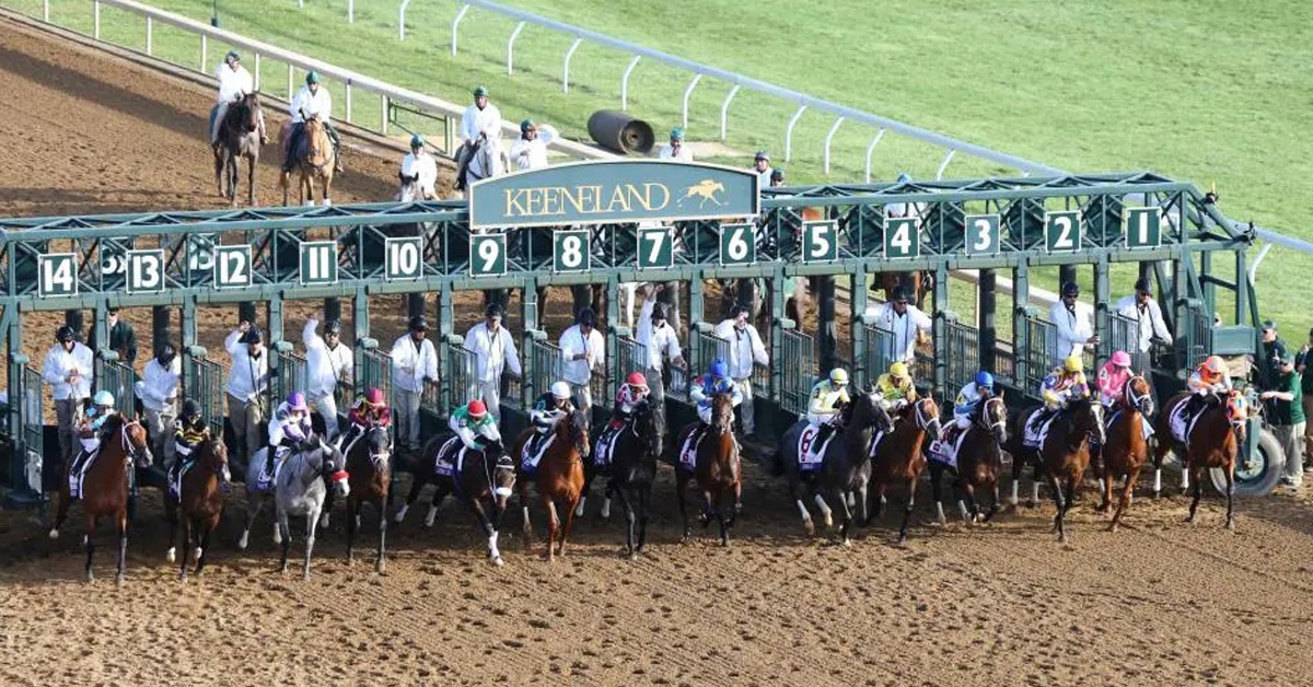 Thumbnail for Lasix-Free Racing in Graded Stakes Called Into Question