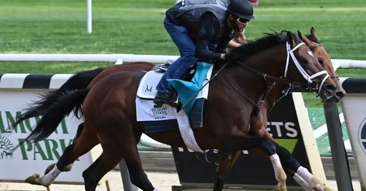 Thumbnail for Essential Quality, Rombauer Head to Belmont to Wrap Up Triple Crown