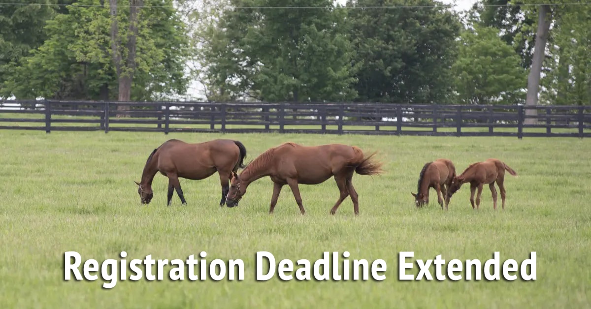 Thumbnail for Deadline Extended for Thoroughbred Ontario Live Foal Program
