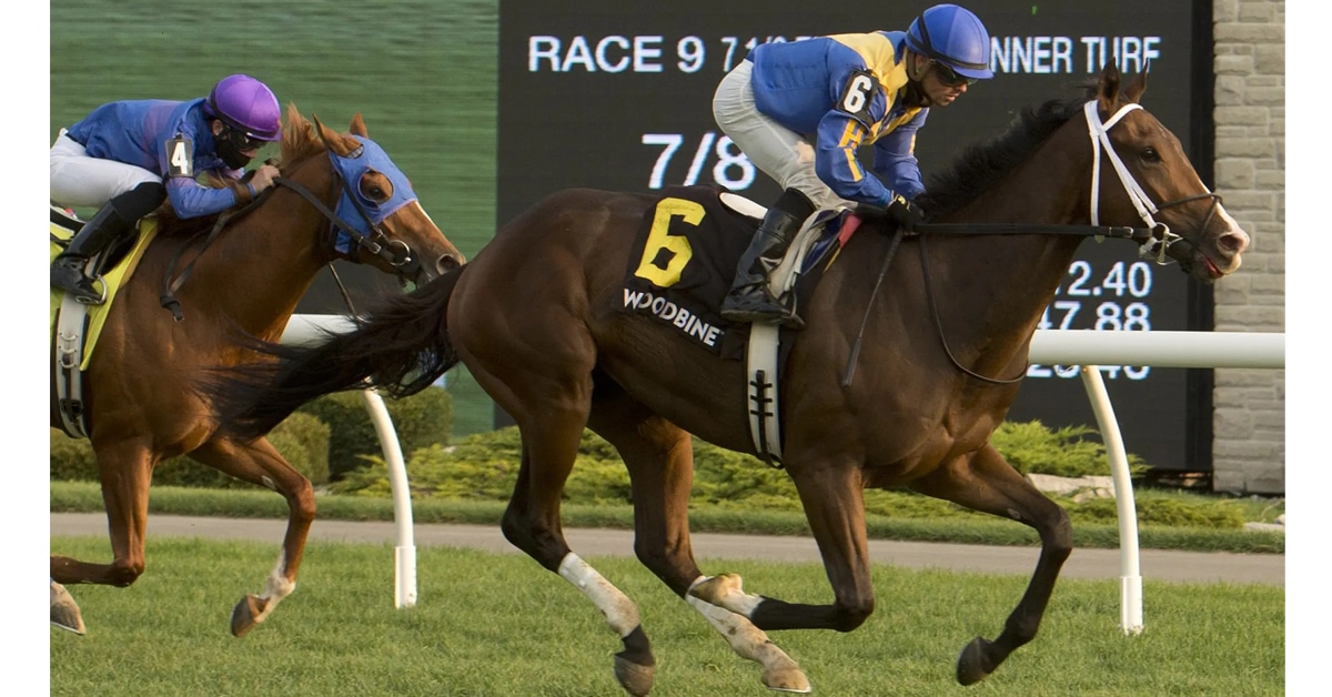 Thumbnail for Queen’s Plate News and Top 15 Contenders for June 7, 2021