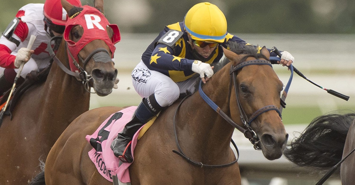 Thumbnail for Woodbine Wrap: Whimsical Winner Boardroom is a “Special Filly”