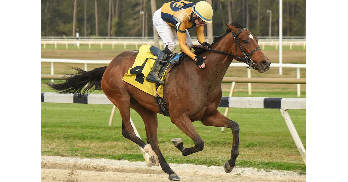 Thumbnail for Preview: 66th Woodbine Oaks, August 1, is Any Filly’s Race