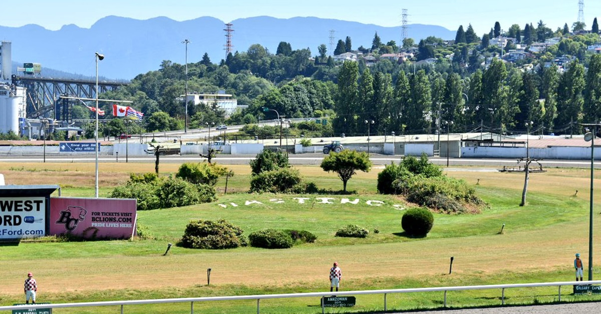 Thumbnail for Glen Todd Offers $1 Million Loan to Keep Hastings Meet Going