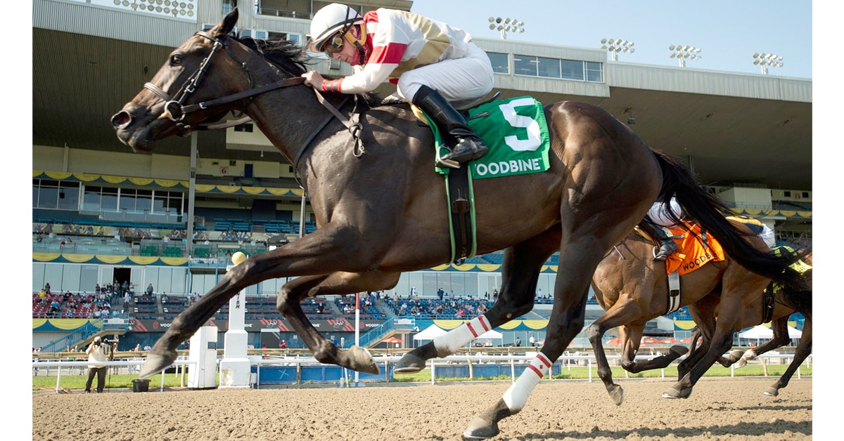 Thumbnail for Lorena Takes Fury, Could Woodbine Oaks Be Next?