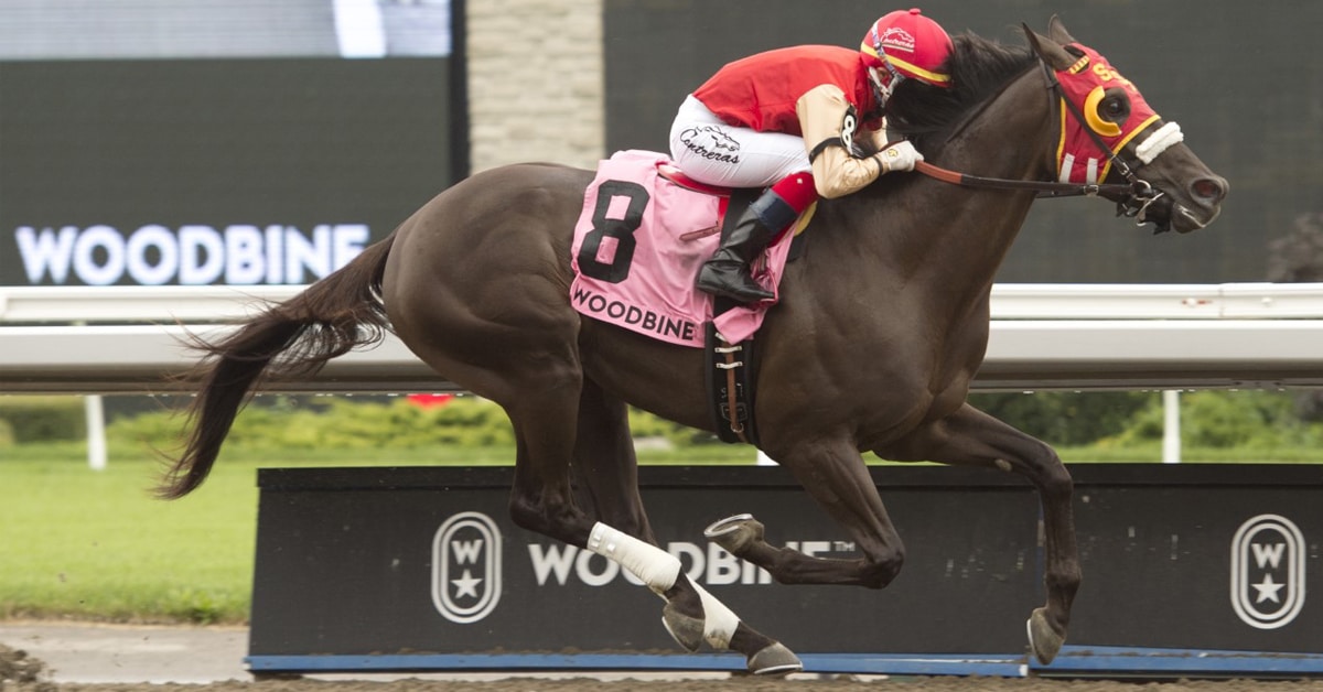 Thumbnail for Woodbine Releases Queen’s Plate Power Rankings