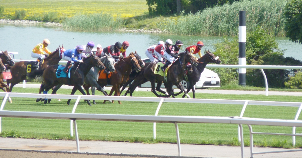 Thumbnail for Wrap: Canada’s Tracks; Woodbine Wagering Soars, Gourneau in Manitoba