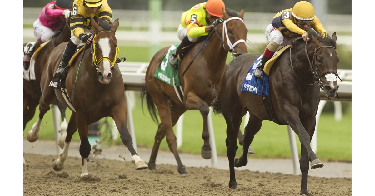 Thumbnail for Queen’s Plate, Woodbine Oaks Up For Grabs Following Weekend Races