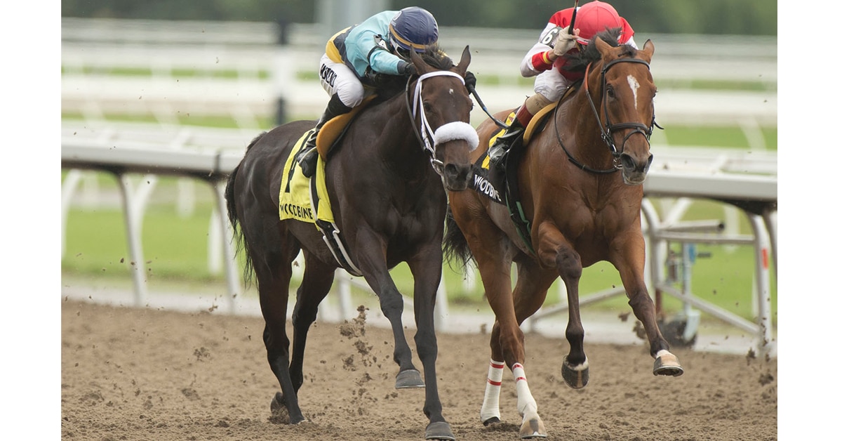 Thumbnail for Lickrish Family Filly Whips Ballade Stakes at Woodbine