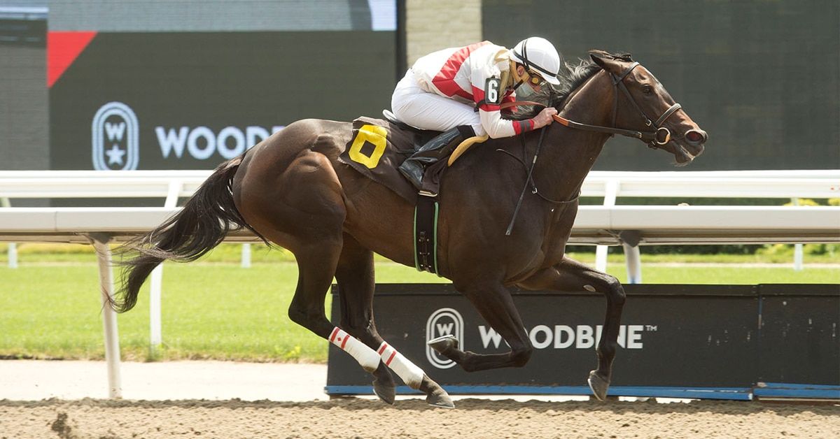 Thumbnail for Big Weekend at Woodbine for Plate and Oaks Hopefuls