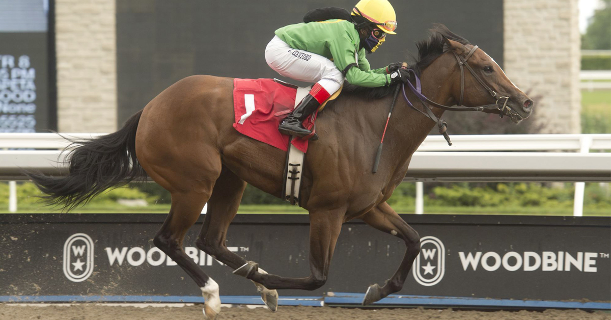 Thumbnail for Ontario Heritage Series Stakes Begin August 7 at Woodbine