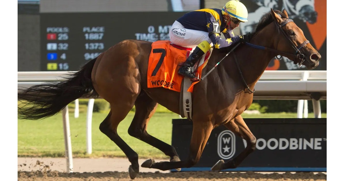 Thumbnail for Boardroom is Breathtaking in Seaway Stakes; Saturday Results