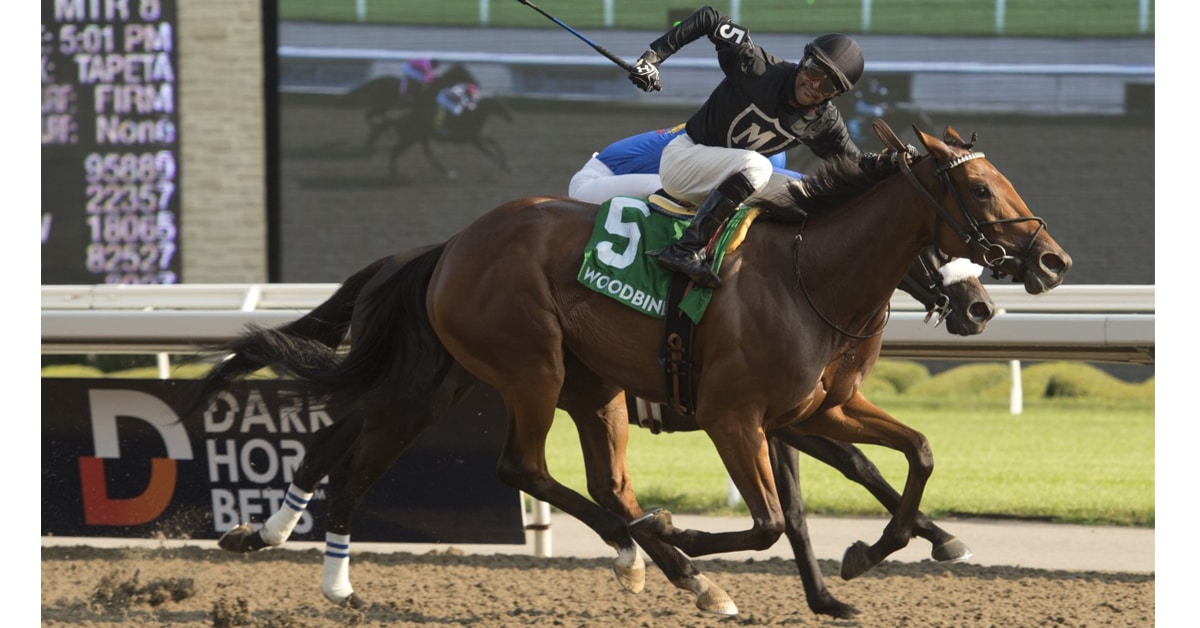 Thumbnail for Il Malocchio Charges to Victory in the $250,000 Bison City Stakes