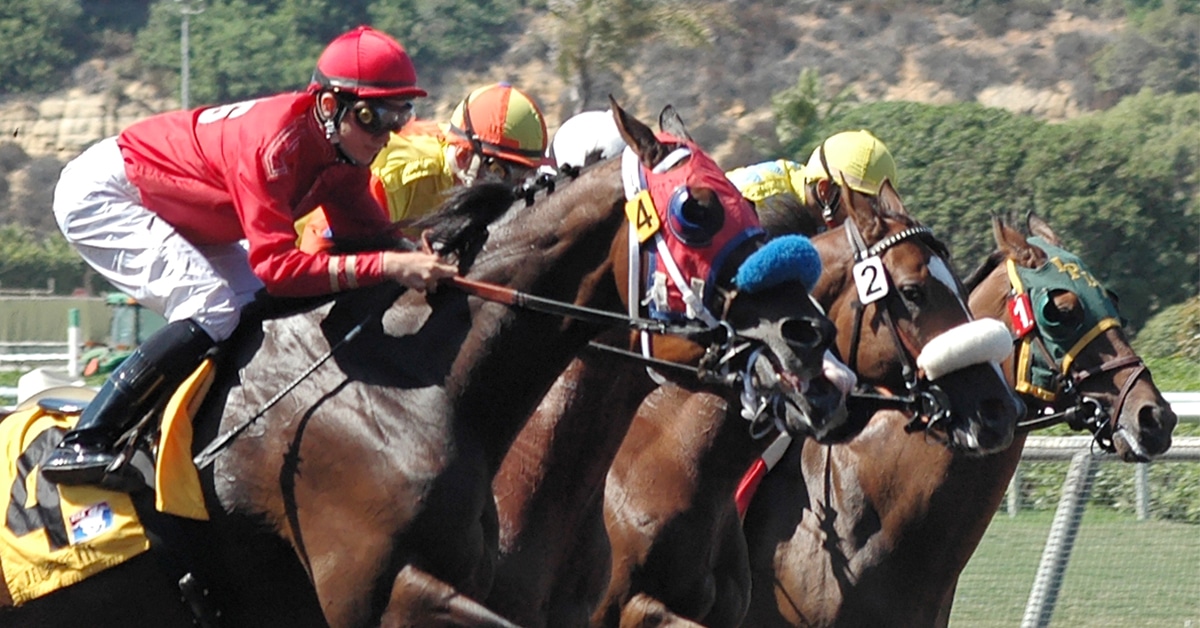 Thumbnail for Can Higher-Altitude Training Improve Thoroughbred Performance?