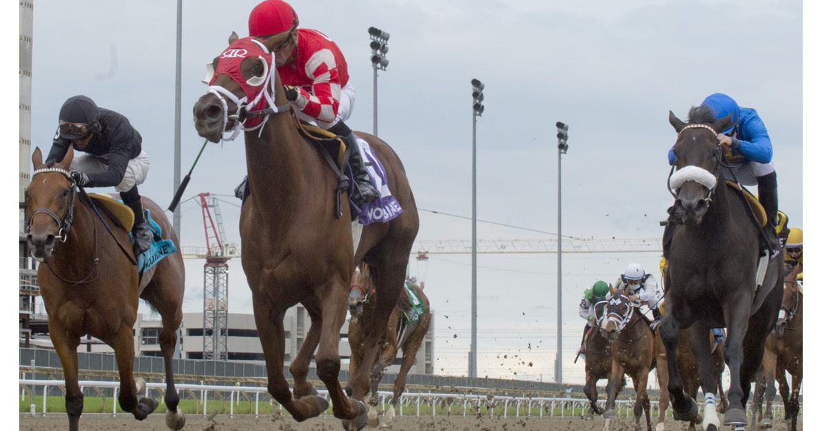 Thumbnail for Munnyfor Ro Cashes In With Rallying Score in Woodbine Oaks