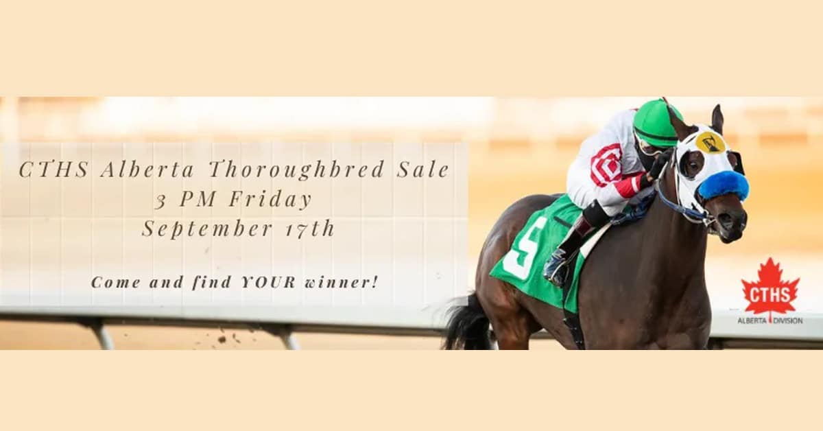 Thumbnail for 2021 CTHS Alberta Thoroughbred Sale Sept. 17th