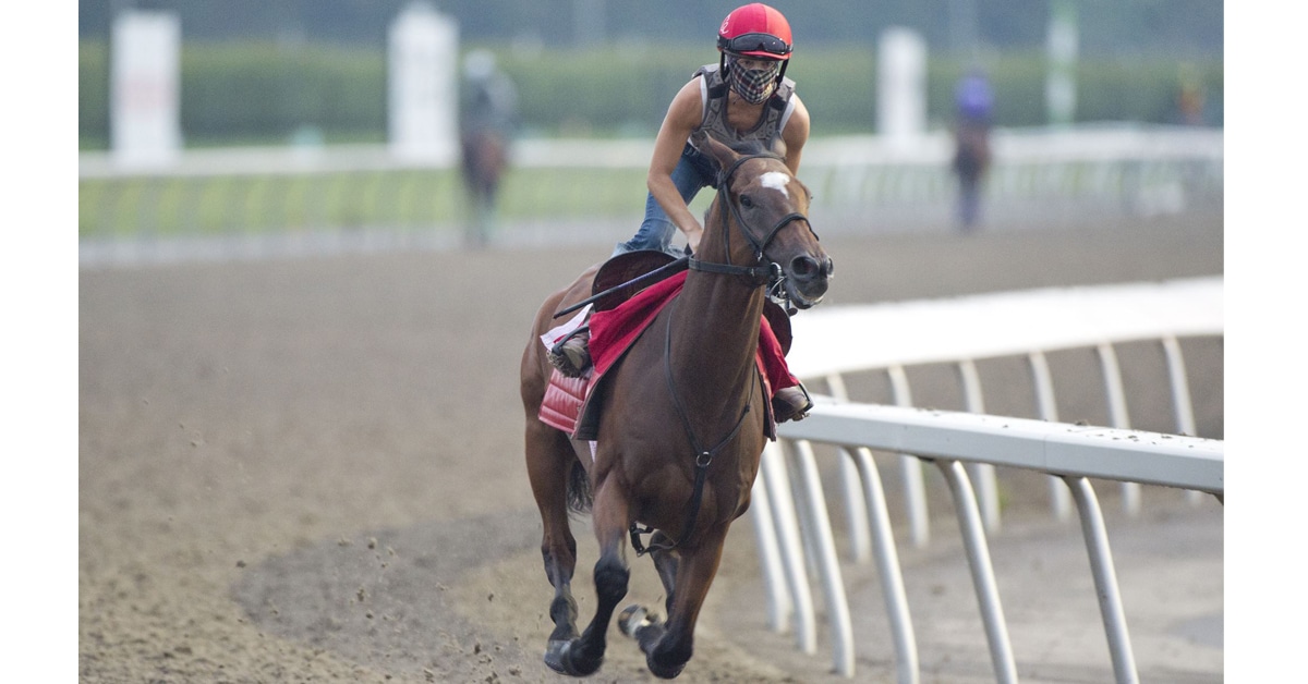 Thumbnail for Ricoh Woodbine Mile, Pattison Canadian International on Saturday