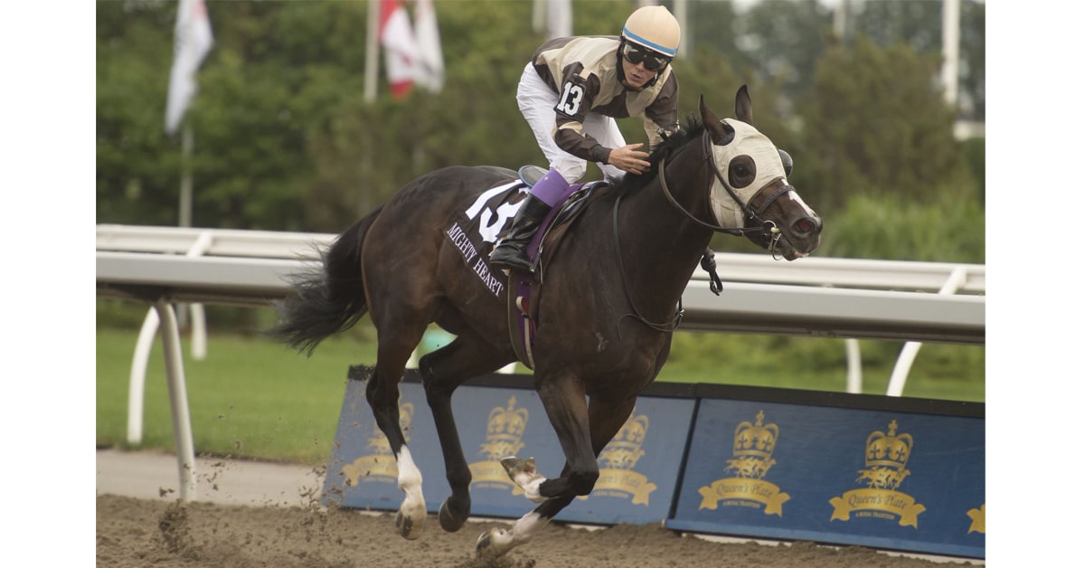 Thumbnail for Mighty Heart Ready for $150,000 Seagram Cup at Woodbine