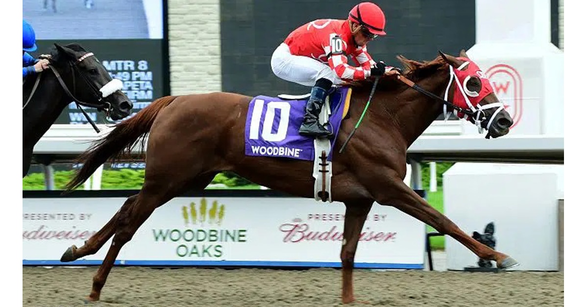 Thumbnail for $250,000 Wonder Where Stakes Completes Canadian Triple Tiara