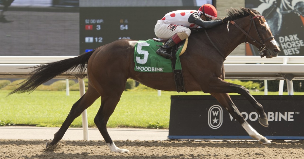 Thumbnail for Casse Team Piles on Wins at Woodbine; Mighty Heart Upset