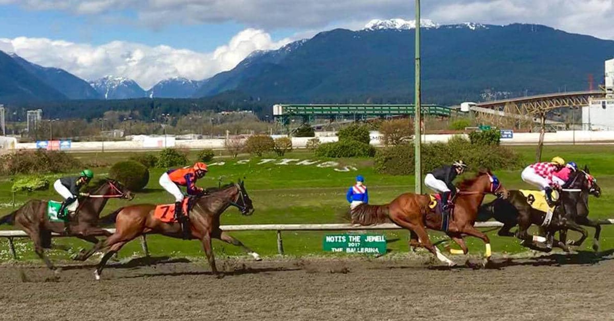 Thumbnail for Make or Break Moment for Thoroughbred Industry in B.C.