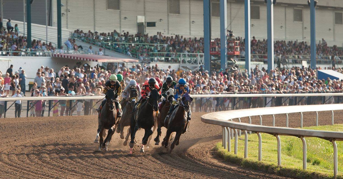 Thumbnail for Fort Erie Race Track Requires Spectators to be Fully Vaccinated