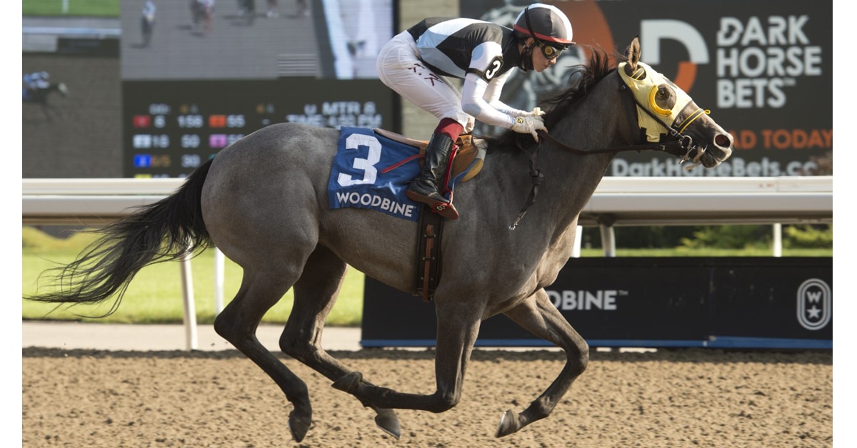 Thumbnail for Princess Elizabeth Stakes Presents Top Canadian-Bred Juvenile Fillies