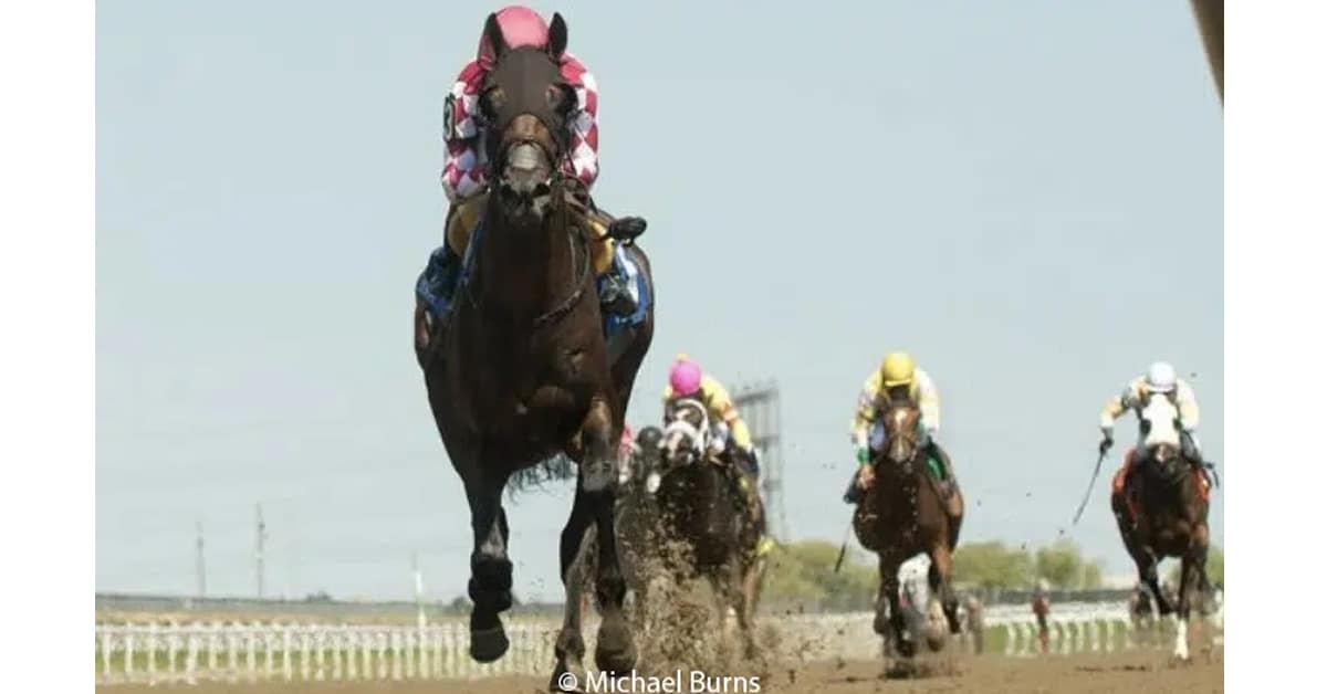 Thumbnail for Grade 3 Ontario Derby Figures to be a ‘Grand’ Race