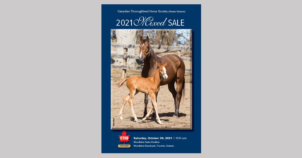 Thumbnail for Maclean’s Music Yearling Filly Tops CTHS Mixed Sale