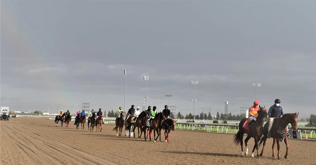 Thumbnail for After 77: Woodbine Weekend Wrap, Second Covid Season Powers On