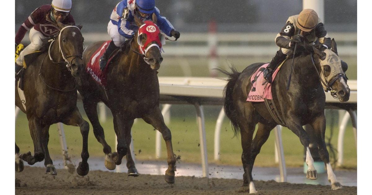 Thumbnail for All Mighty: Champion Mighty Heart Powers to Autumn Stakes Victory