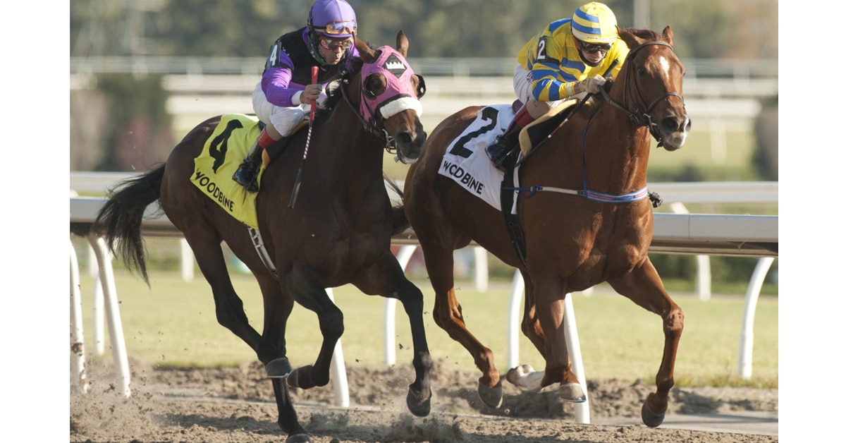 Thumbnail for Woodbine Wrap: That’s 25 Stakes Wins for the Remarkable Pink Lloyd