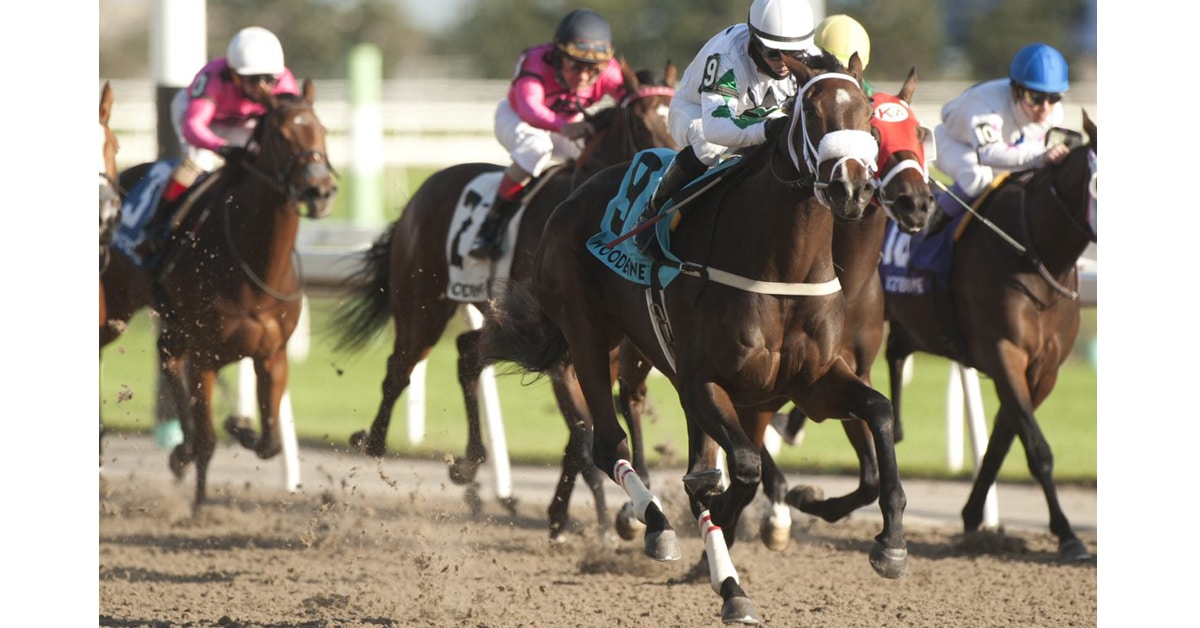Thumbnail for Excitement for Horsepeople as Woodbine Opens April 16