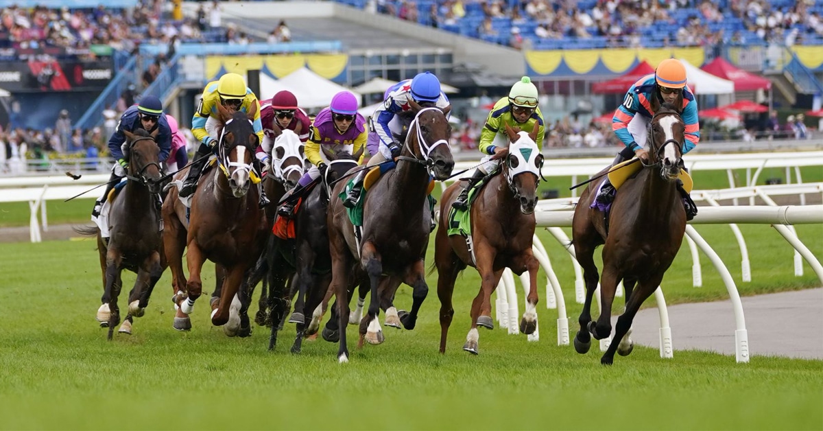 Thumbnail for Woodbine Turf Season Wraps Up with Strong Numbers