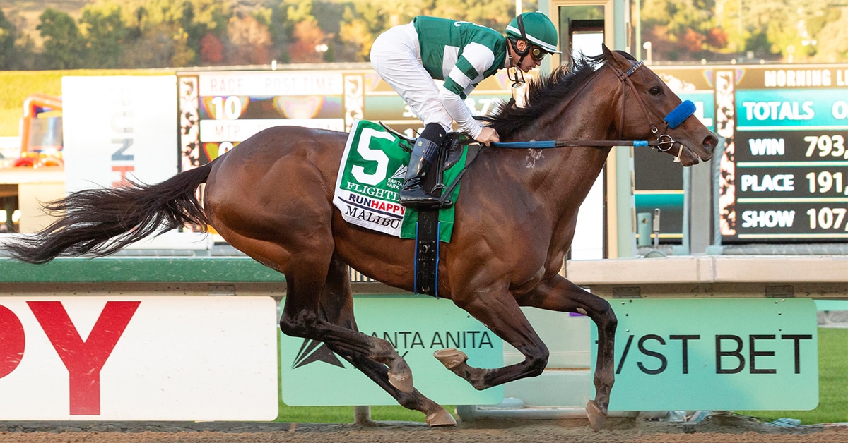 Thumbnail for 118 Beyer, Flightline Soars in Malibu Stakes, ‘Not An Ordinary Horse’