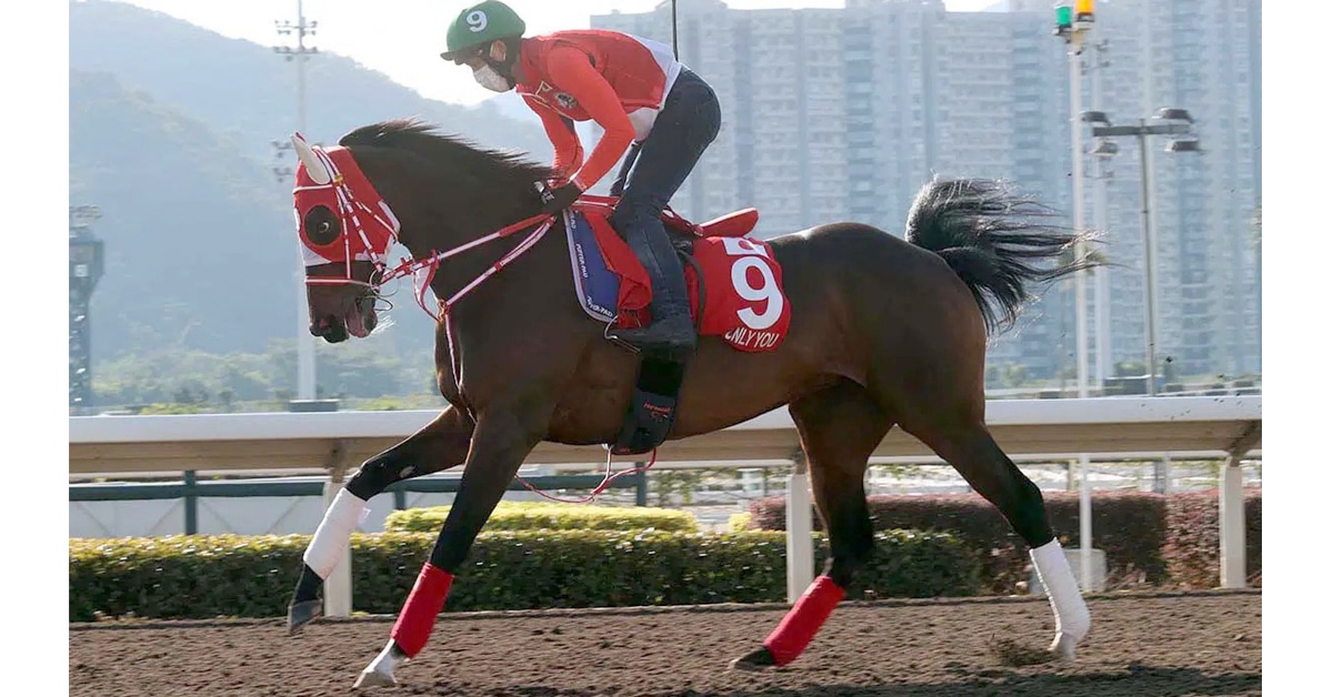 Thumbnail for Grade 1 Hong Kong Cup: Loves Only You Makes Final Start