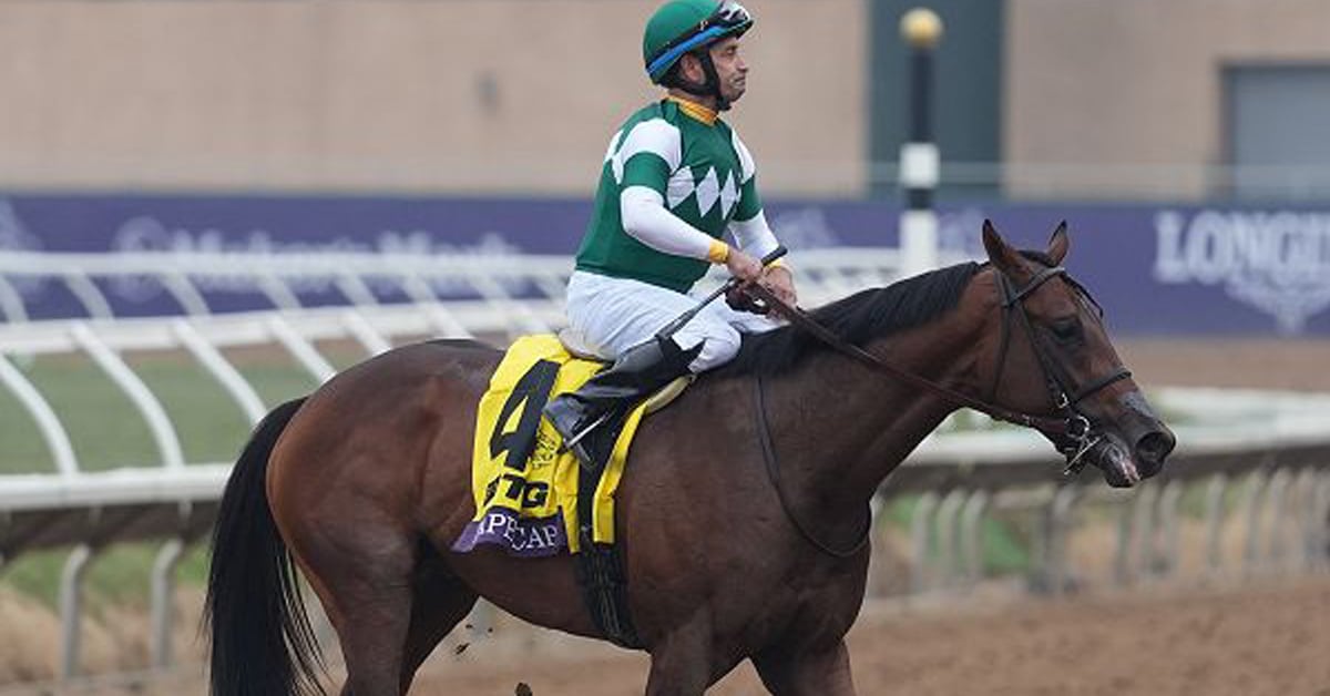 Thumbnail for Fair Grounds Saturday: Anderson, Casse Seek Stakes Success