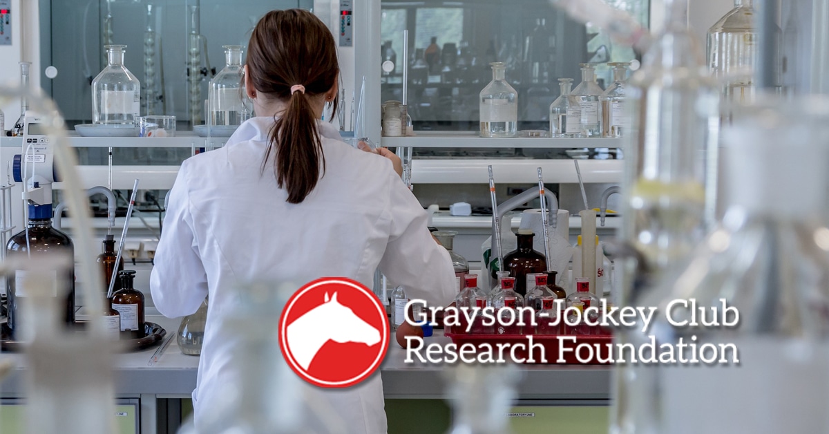 Thumbnail for Funding for Research into Equine Herpes Virus Vaccine