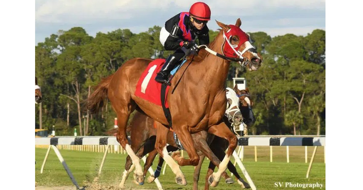 Thumbnail for Nantucket Red Wins $50,000 Wayward Lass Stakes for Brnjas, Wright