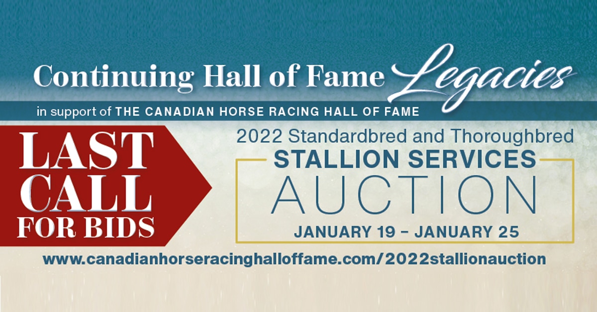 Thumbnail for CHRHF Stallion Services Auction – Last Call!