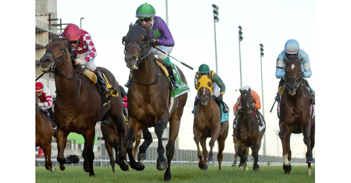 Thumbnail for 2022 Woodbine Thoroughbred Stakes Schedule Unveiled