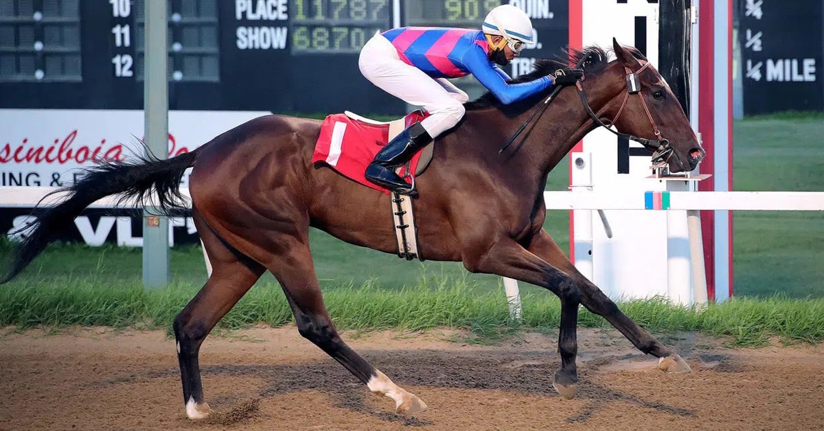 Thumbnail for Dream Time: Assiniboia Downs Set for 65th Season With 32 Stakes