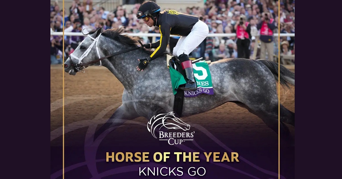 Thumbnail for Knicks Go Voted Horse of the Year at 51st Eclipse Awards