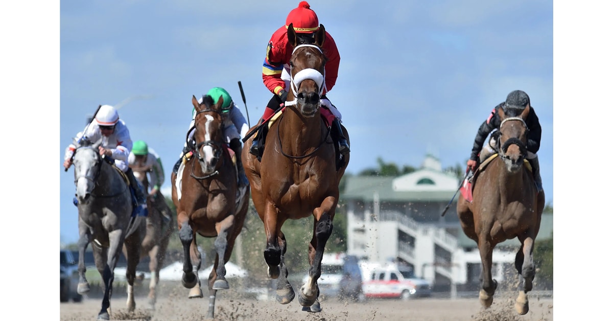 Thumbnail for Champion Letruska Romps at Gulfstream; Ontario-Bred ‘Malocchio 3rd